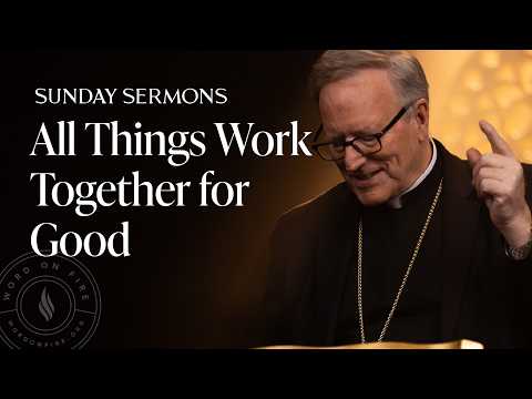 All Things Work Together for Good - Bishop Barron's Sunday Sermon